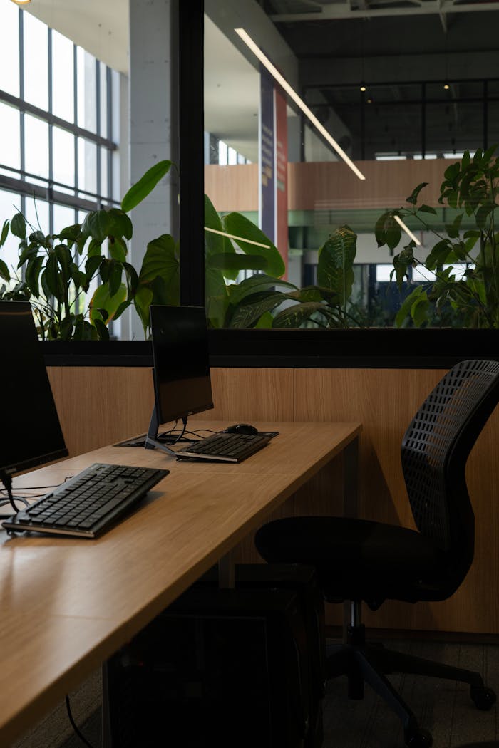 A contemporary office with computers and lush plants, ideal for coworking.